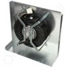 Blower Motor